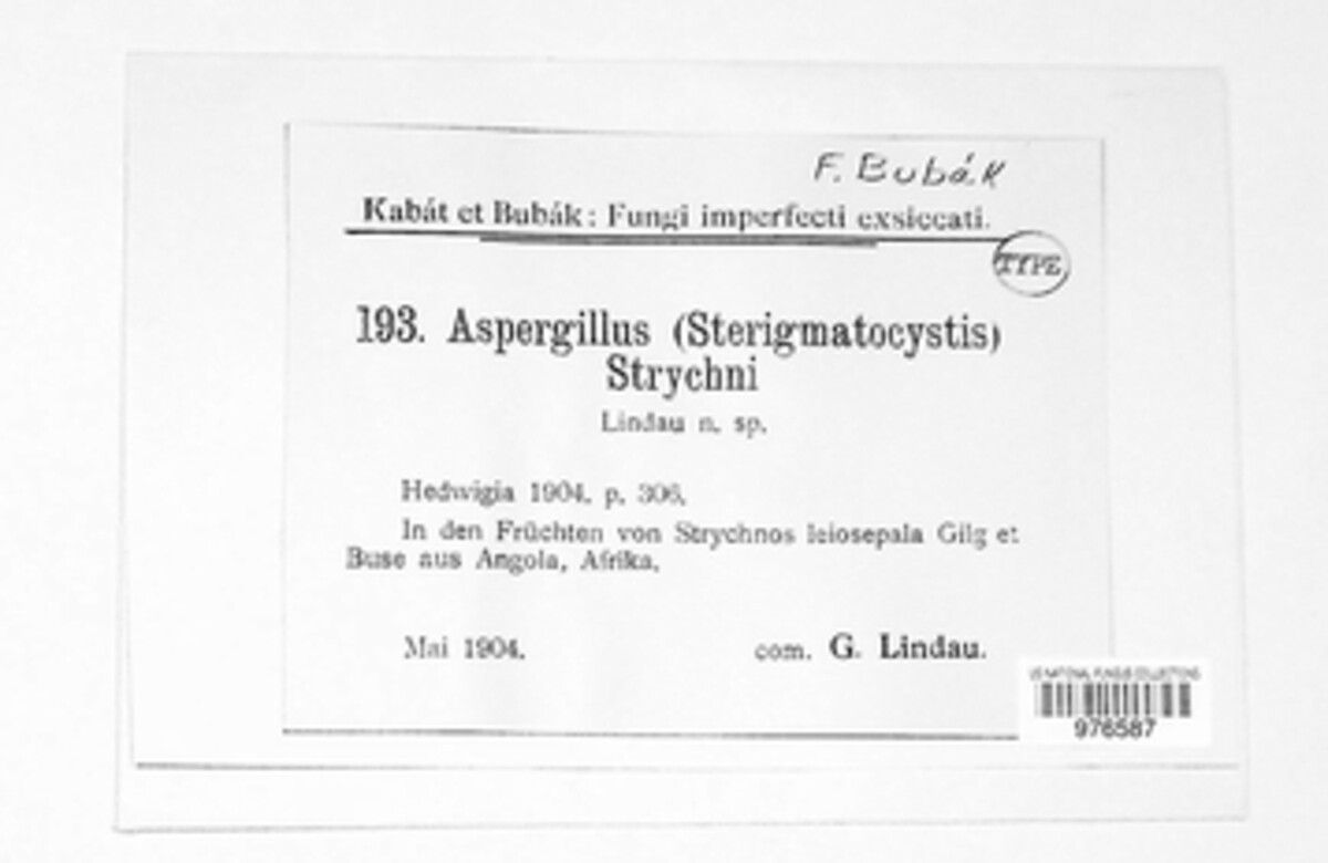 Aspergillus strychni image